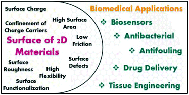 Graphical abstract: Recent advancement in biomedical applications on the surface of two-dimensional materials: from biosensing to tissue engineering