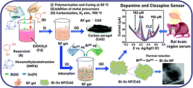 Graphical abstract: Ultrafine Bi–Sn nanoparticles decorated on carbon aerogels for electrochemical simultaneous determination of dopamine (neurotransmitter) and clozapine (antipsychotic drug)