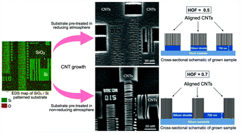 Graphical abstract: Surface passivation dictated site-selective growth of aligned carbon nanotubes