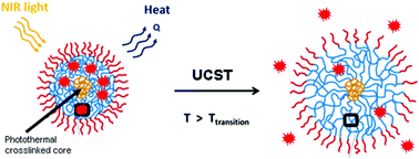 Graphical abstract: Near-infrared light-responsive UCST-nanogels using an efficient nickel-bis(dithiolene) photothermal crosslinker