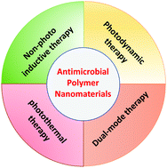 Graphical abstract: Design of functional polymer nanomaterials for antimicrobial therapy and combatting resistance