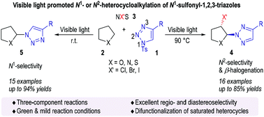 Graphical abstract: Regioselective N1- and N2-heterocycloalkylation of N1-sulfonyl-1,2,3-triazoles