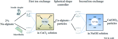 Graphical abstract: Facile synthesis of highly tunable monodispersed calcium hydroxide composite particles by using a two-step ion exchange reaction