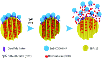 Graphical abstract: Doxorobicin as cargo in a redox-responsive drug delivery system capped with water dispersible ZnS nanoparticles