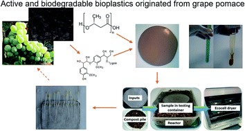 Graphical abstract: Active biodegradable packaging films modified with grape seeds lignin
