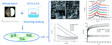 Graphical abstract: Morphology, structural, thermal and rheological properties of wheat starch–palmitic acid complexes prepared during steam cooking