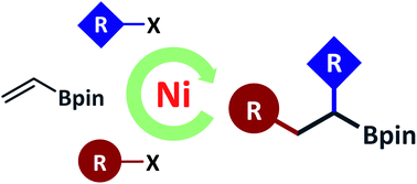 Graphical abstract: Nickel-catalyzed three-component olefin reductive dicarbofunctionalization to access alkylborates