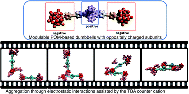 Graphical abstract: Exploring the self-assembly of dumbbell-shaped polyoxometalate hybrids, from molecular building units to nanostructured soft materials