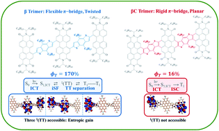 Graphical abstract: Activating intramolecular singlet exciton fission by altering π-bridge flexibility in perylene diimide trimers for organic solar cells