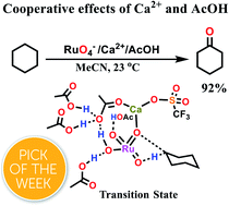 Graphical abstract: Cooperative activating effects of metal ion and Brønsted acid on a metal oxo species