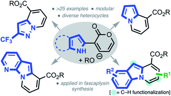 Graphical abstract: A pyrone remodeling strategy to access diverse heterocycles: application to the synthesis of fascaplysin natural products