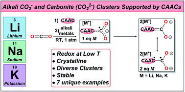 Graphical abstract: Soluble, crystalline, and thermally stable alkali CO2− and carbonite (CO22−) clusters supported by cyclic(alkyl)(amino) carbenes
