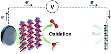 Graphical abstract: Highly porous Ti–Ni anodes for electrochemical oxidations