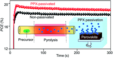 Graphical abstract: Chemical vapor deposited polymer layer for efficient passivation of planar perovskite solar cells