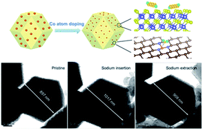 Graphical abstract: Sustainable S cathodes with synergic electrocatalysis for room-temperature Na–S batteries