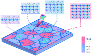 Graphical abstract: Unveiling hot carrier relaxation and carrier transport mechanisms in quasi-two-dimensional layered perovskites