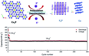 Graphical abstract: Copper phosphide as a promising anode material for potassium-ion batteries