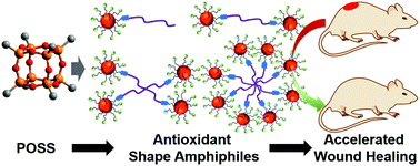 Graphical abstract: Antioxidant shape amphiphiles for accelerated wound healing