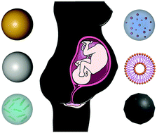 Graphical abstract: Design of nanomaterials for applications in maternal/fetal medicine