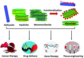 Graphical abstract: Nanoclay-based drug delivery systems and their therapeutic potentials