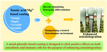 Graphical abstract: Tannic acid/Mg2+-based versatile coating to manipulate the osteoimmunomodulation of implants