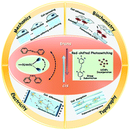 Graphical abstract: Spatiotemporal regulation of dynamic cell microenvironment signals based on an azobenzene photoswitch
