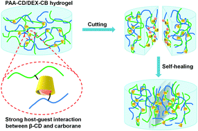 Graphical abstract: Self-healing supramolecular hydrogels through host–guest interaction between cyclodextrin and carborane