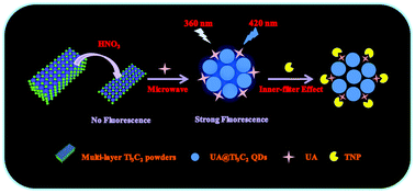 Graphical abstract: A facile and rapid approach to synthesize uric acid-capped Ti3C2 MXene quantum dots for the sensitive determination of 2,4,6-trinitrophenol both on surfaces and in solution