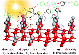 Graphical abstract: Synergy of surface fluorine and oxygen vacancy of TiO2 nanosheets for O2 activation in selective photocatalytic organic transformations