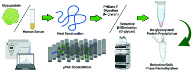 Graphical abstract: Using micro pillar array columns (μPAC) for the analysis of permethylated glycans