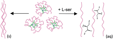 Abstrak grafis: Efek aditif asam amino pada kelarutan protein – wawasan dari desorpsi dan spektrometri massa ionisasi elektrospray langsung