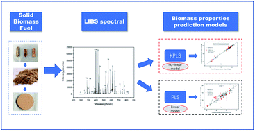Graphical abstract: Optimizing the quantitative analysis of solid biomass fuel properties using laser induced breakdown spectroscopy (LIBS) coupled with a kernel partial least squares (KPLS) model