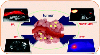 Graphical abstract: Versatile fluorinated Pd@Au nanoplates doped with yttrium for tumor theranostics
