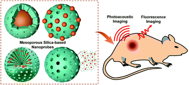 Graphical abstract: Development of mesoporous silica-based nanoprobes for optical bioimaging applications