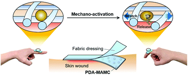 Graphical abstract: Stretch-responsive adhesive microcapsules for strain-regulated antibiotic release from fabric wound dressings