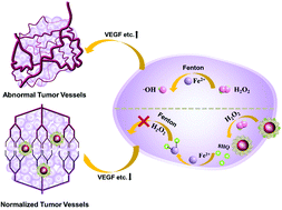 Graphical abstract: An oxidation responsive nano-radiosensitizer increases radiotherapy efficacy by remolding tumor vasculature