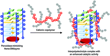 Graphical abstract: A cationic copolymer as a cocatalyst for a peroxidase-mimicking heme-DNAzyme