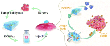 Graphical abstract: A simple and general strategy for postsurgical personalized cancer vaccine therapy based on an injectable dynamic covalent hydrogel
