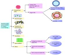 Graphical abstract: Nanotechnology-based therapeutic applications: in vitro and in vivo clinical studies for diabetic wound healing