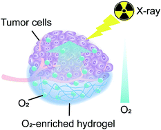 Graphical abstract: An oxygen-enriched thermosensitive hydrogel for the relief of a hypoxic tumor microenvironment and enhancement of radiotherapy