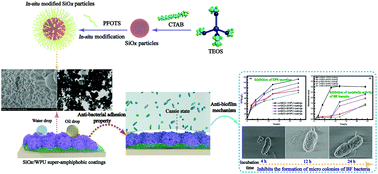 Graphical abstract: Preparation of WPU-based super-amphiphobic coatings functionalized by in situ modified SiOx particles and their anti-biofilm mechanism