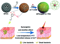 Graphical abstract: Fabrication of a pH-responsive core–shell nanosystem with a low-temperature photothermal therapy effect for treating bacterial biofilm infection