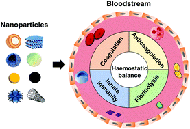 Graphical abstract: Influence of nanoparticles on the haemostatic balance: between thrombosis and haemorrhage