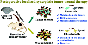 Graphical abstract: Polydopamine-assisted decoration of Se nanoparticles on curcumin-incorporated nanofiber matrices for localized synergistic tumor-wound therapy