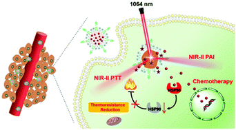 Graphical abstract: Near-infrared-II light excitation thermosensitive liposomes for photoacoustic imaging-guided enhanced photothermal-chemo synergistic tumor therapy