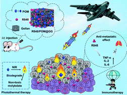 Graphical abstract: Injectable hydrogel platform with biodegradable Dawson-type polyoxometalate and R848 for combinational photothermal-immunotherapy of cancer
