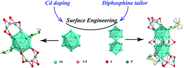 Graphical abstract: Surface engineering of linearly fused Au13 units using diphosphine and Cd doping