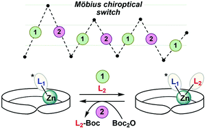 Graphical abstract: Interconversion between Möbius chiroptical states sustained by hexaphyrin dynamic coordination