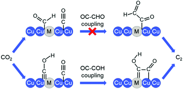 Graphical abstract: Key to C2 production: selective C–C coupling for electrochemical CO2 reduction on copper alloy surfaces