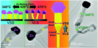 Graphical abstract: Temperature induced diameter variation of silicon nanowires via a liquid–solid phase transition in the Zn seed